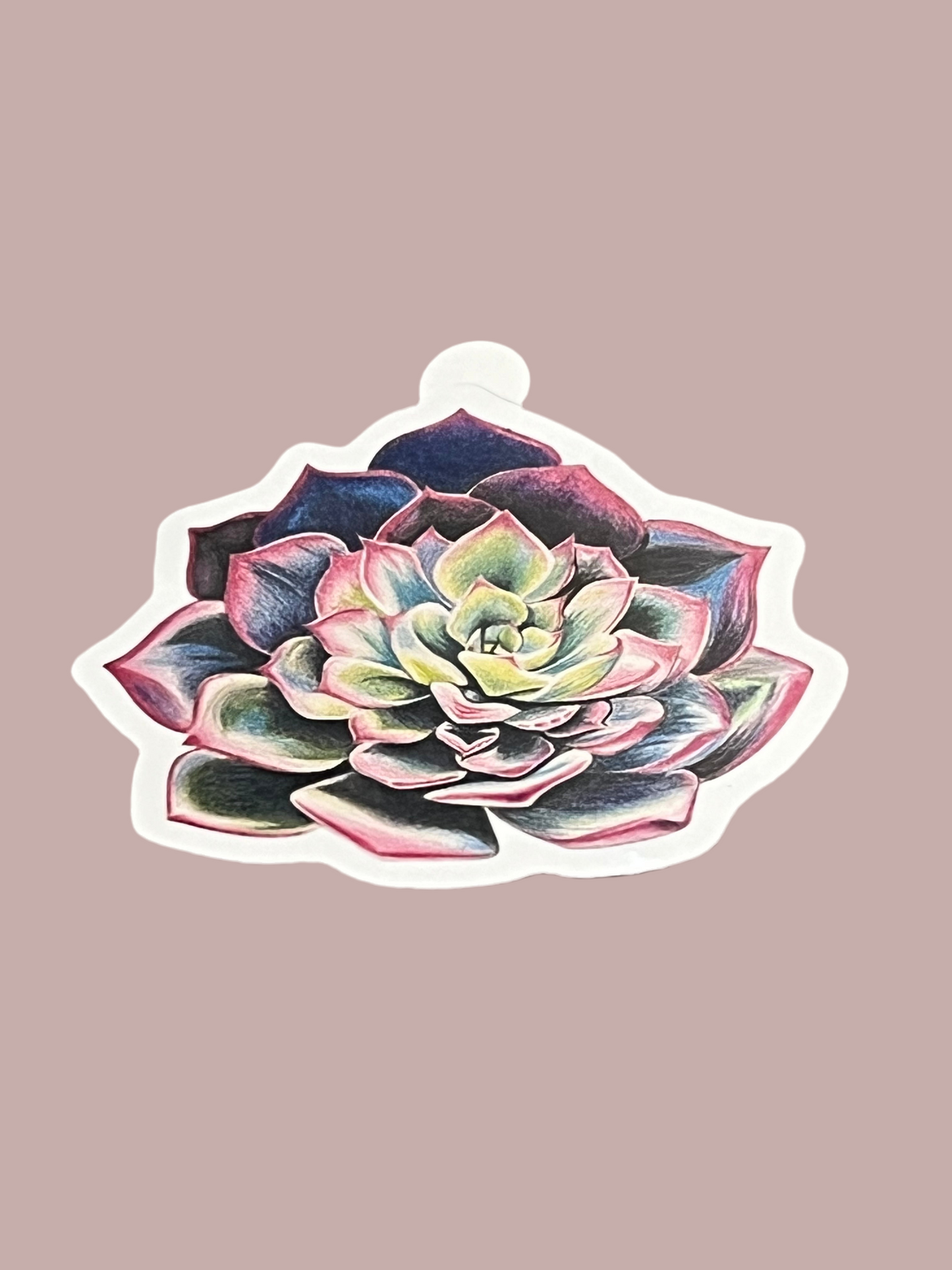 Purple Succulent