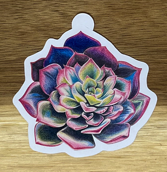 Purple Succulent